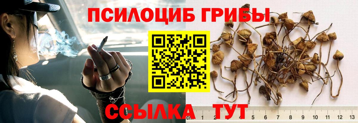 Галлюциногенные грибы Magic Shrooms Карталы